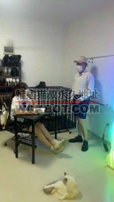 【雯雯】老师被虐杀虐-舔脏鞋/胯下辱/闻鞋窝舔裸足 bf32458