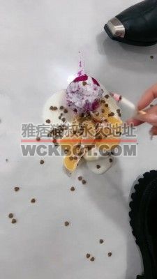 【苏御大大】给狗制作黑暗料理 JS231014