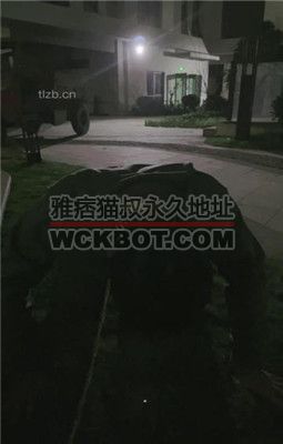 【清禾】小区楼下遛狗犬化男友 JS23110430