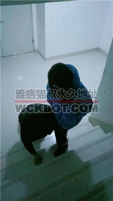 【芷镜小主】楼梯间短靴棉袜踩狗 JS240125-7