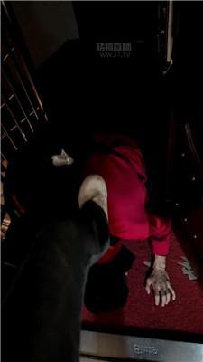 【诗S】考核男m是否配当诗祖宗的狗 bf63129