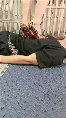 【扶摇女s】高跟踩绿帽狗东西 JS260526-51