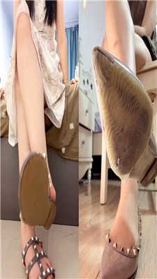 【微莱】双主居家道具任务    260708-52